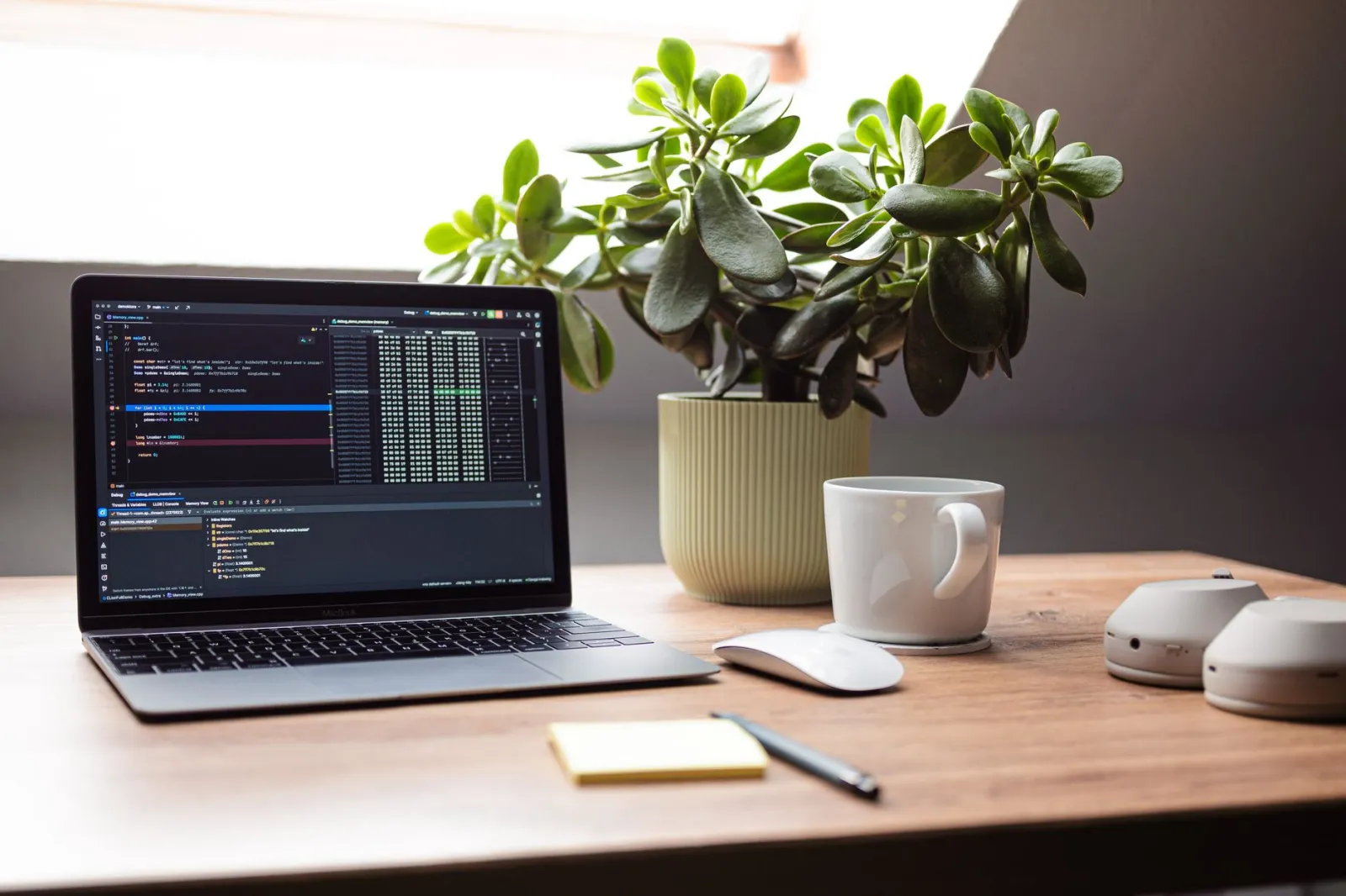 A modern workspace featuring a laptop, mouse, and plant on a wooden desk by a window.